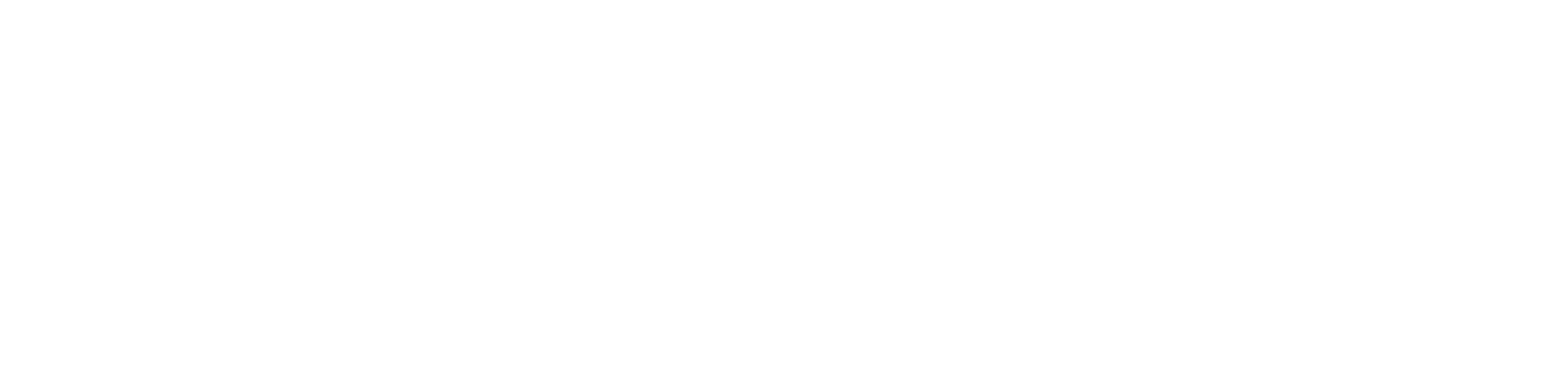 BF Holding